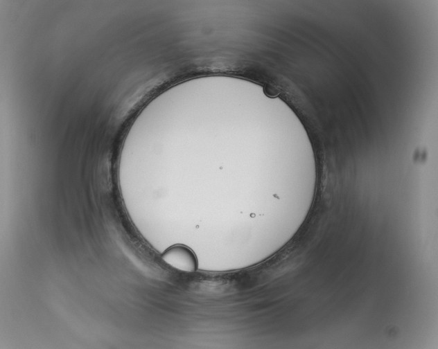 X0000112840251200909111429