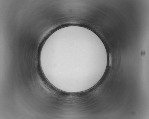 X0000112840252200909111429