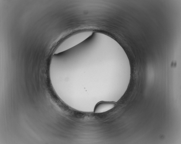 X0000112840256200909111429