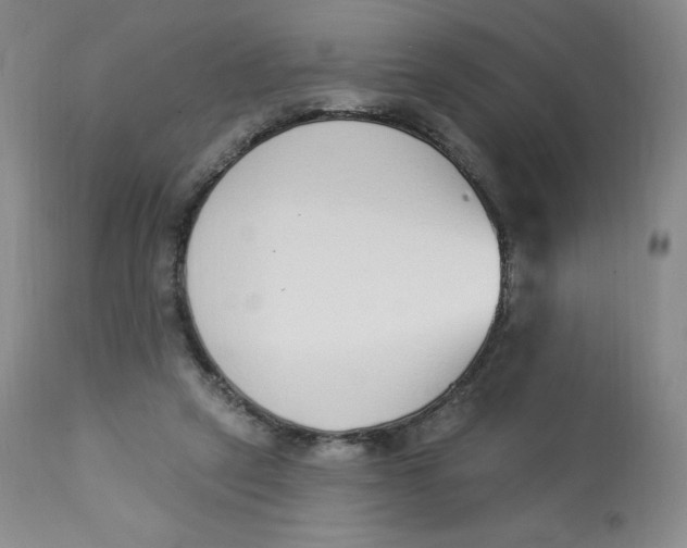 X0000112840257200909111429