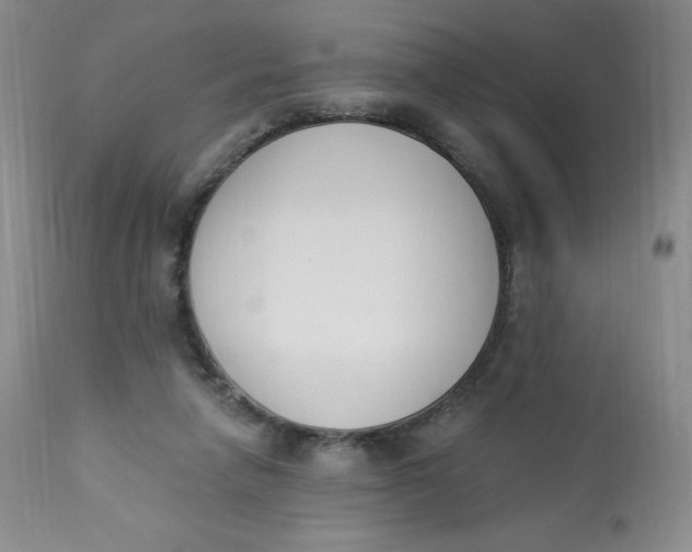 X0000112840258200909111429