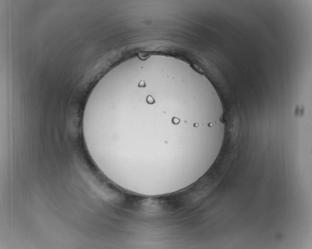 X0000112840261200909111429