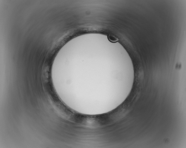 X0000112840264200909111429