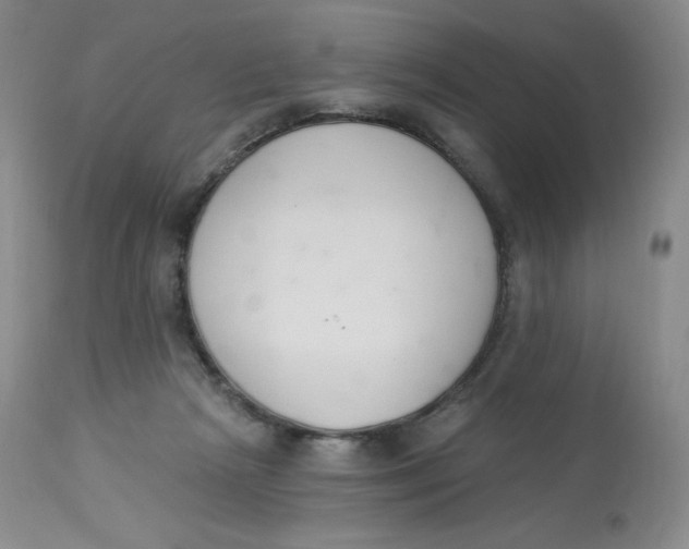 X0000112840265200909111429