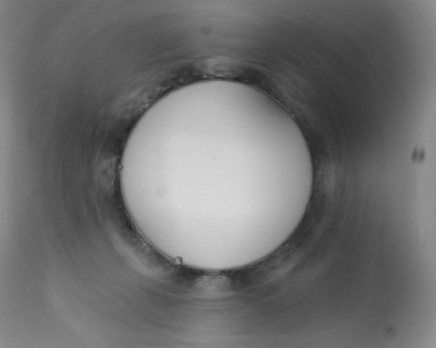 X0000112840271200909111429