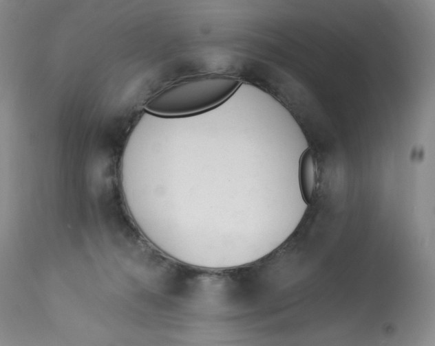 X0000112840272200909111429