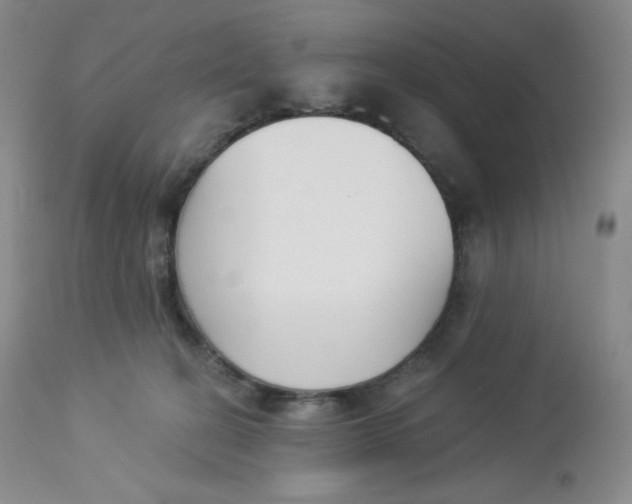 X0000112840274200909111429