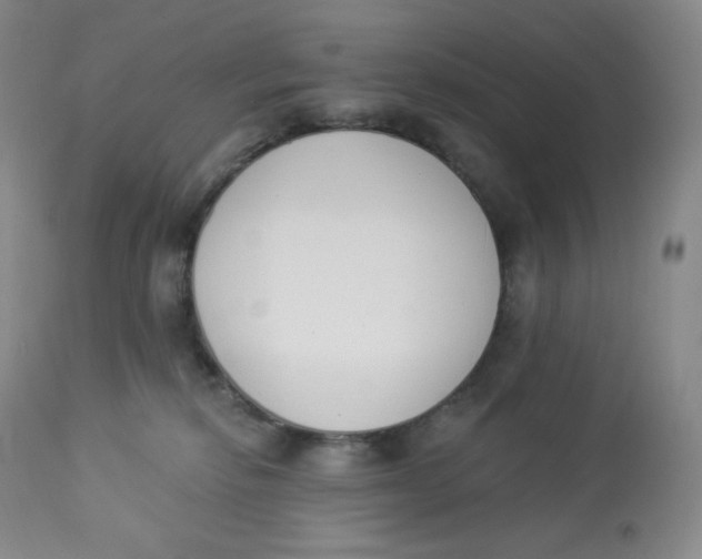 X0000112840278200909111429