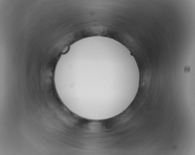 X0000112840279200909111429