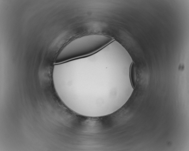 X0000112840280200909111429