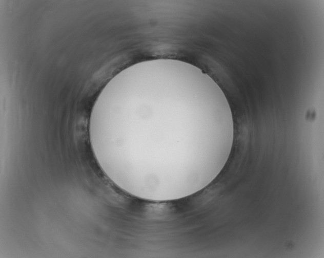 X0000112840281200909111429