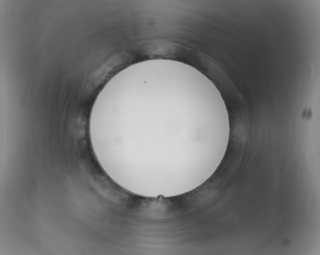 X0000112840282200909111429