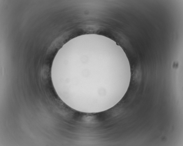 X0000112840283200909111429