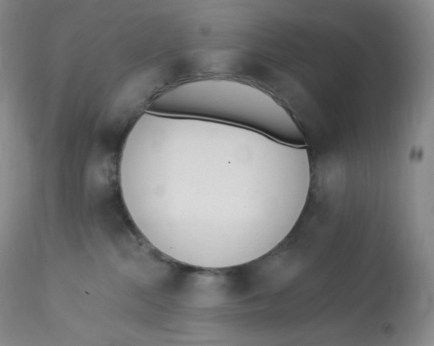 X0000112840284200909111429