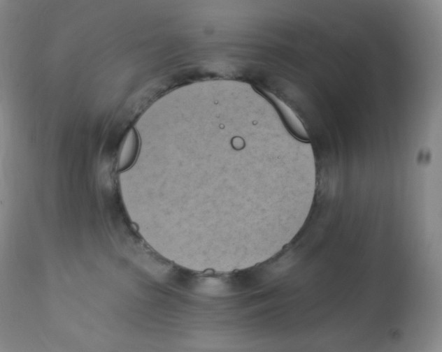 X0000112840285200909111429