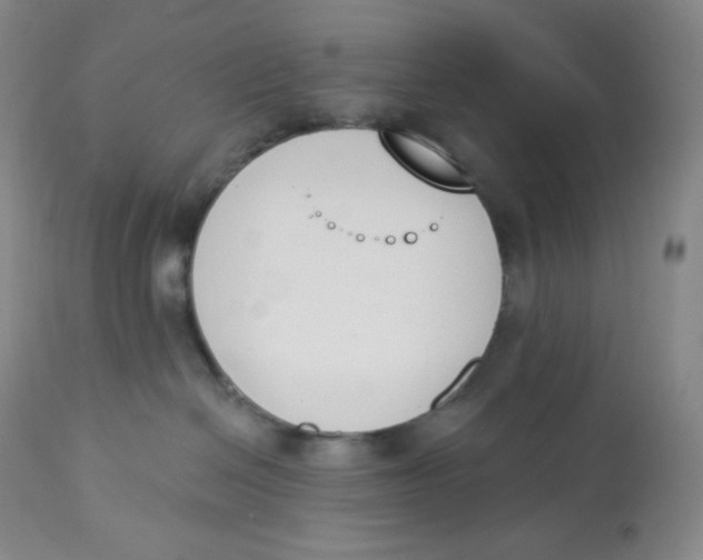 X0000112840286200909111429