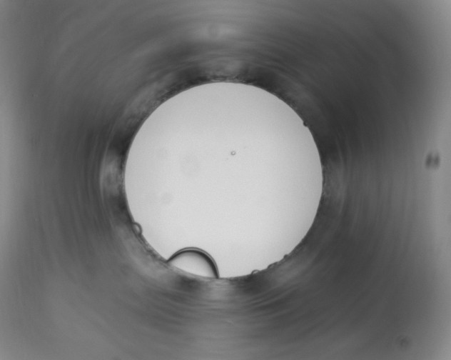 X0000112840287200909111429