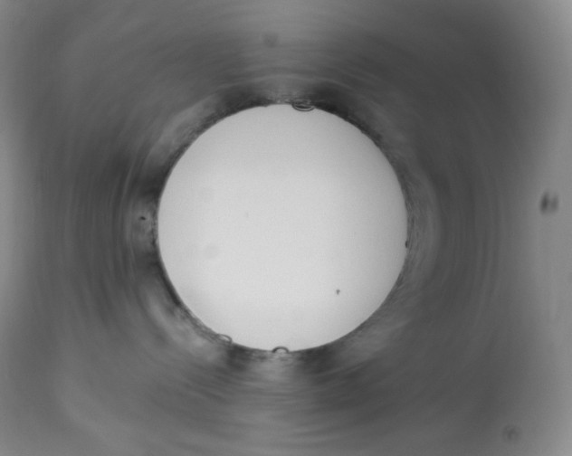 X0000112840288200909111429