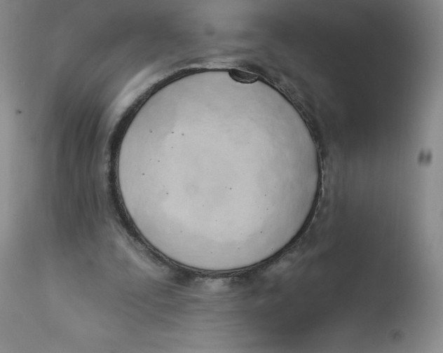 X0000112840295200909111428