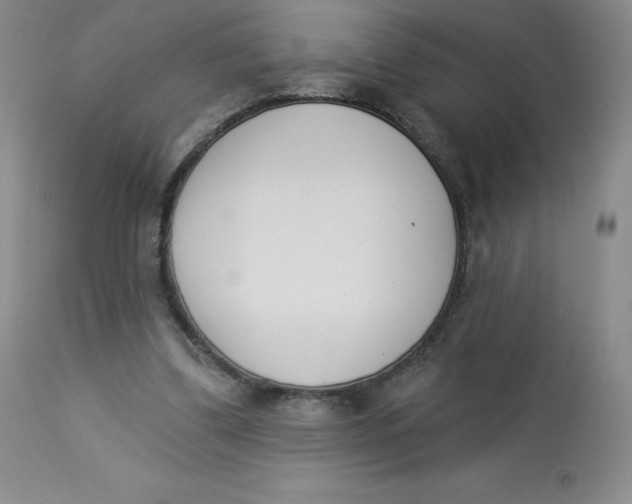 X0000112840299200909111428