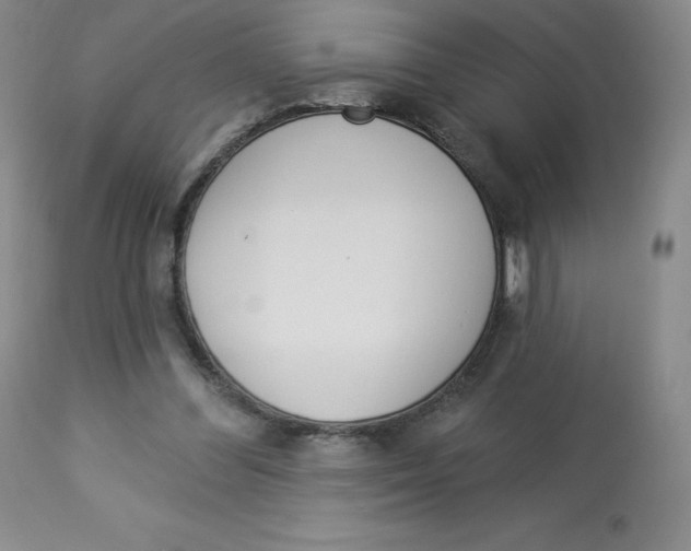 X0000112840300200909111428