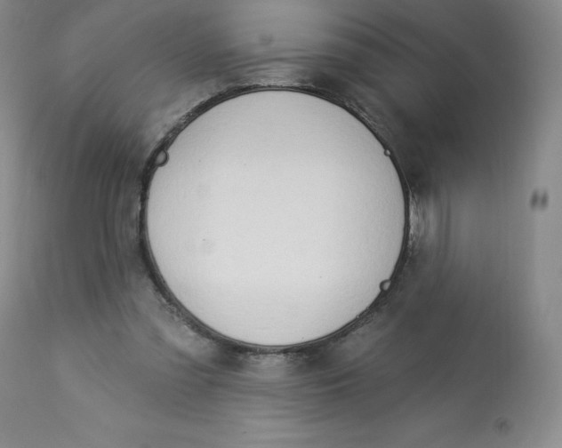 X0000112840301200909111428