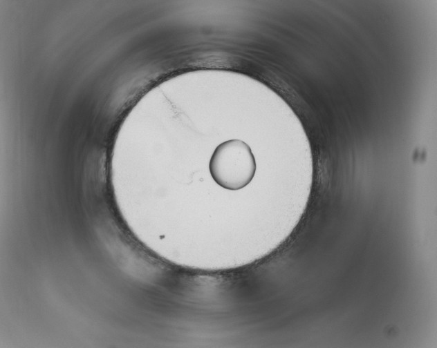 X0000112840302200909111428