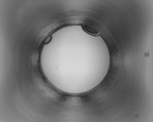 X0000112840304200909111428