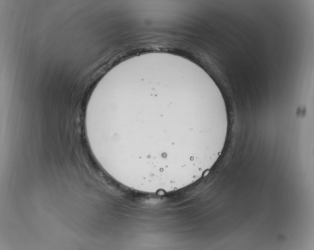 X0000112840313200909111428