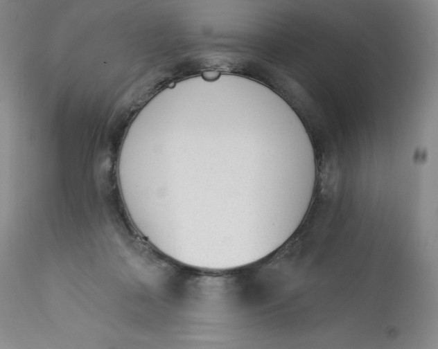 X0000112840314200909111428