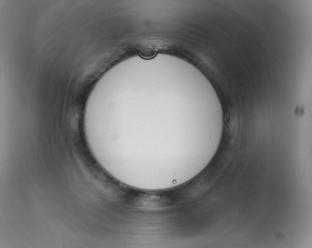 X0000112840315200909111428