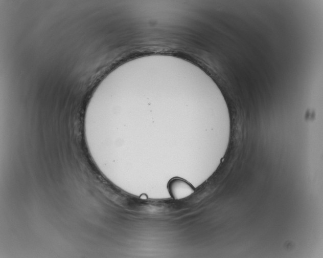 X0000112840317200909111428