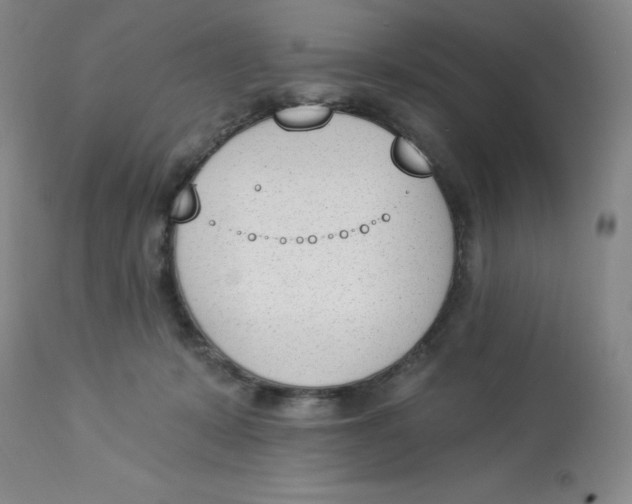 X0000112840319200909111428