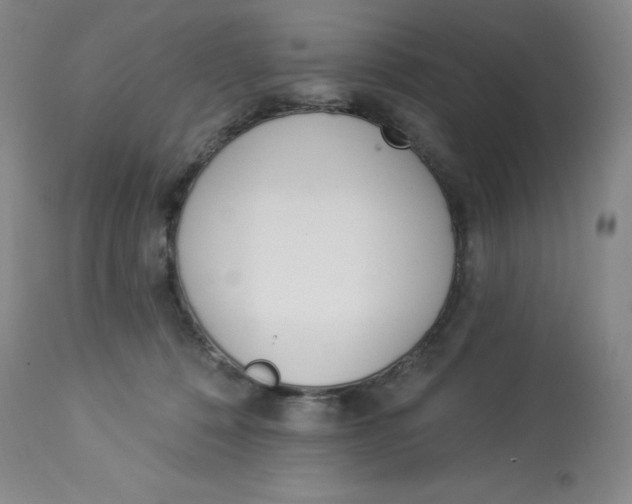 X0000112840320200909111428