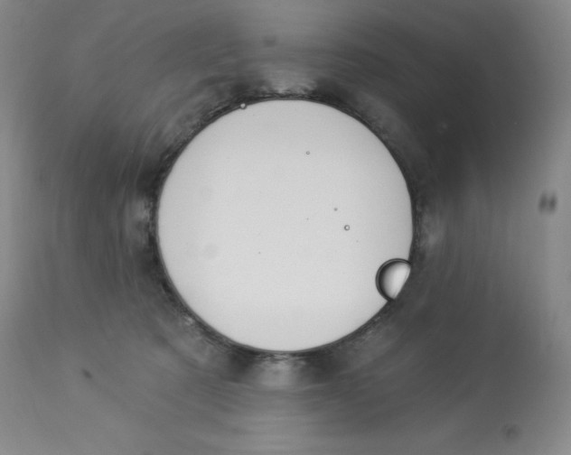 X0000112840321200909111428