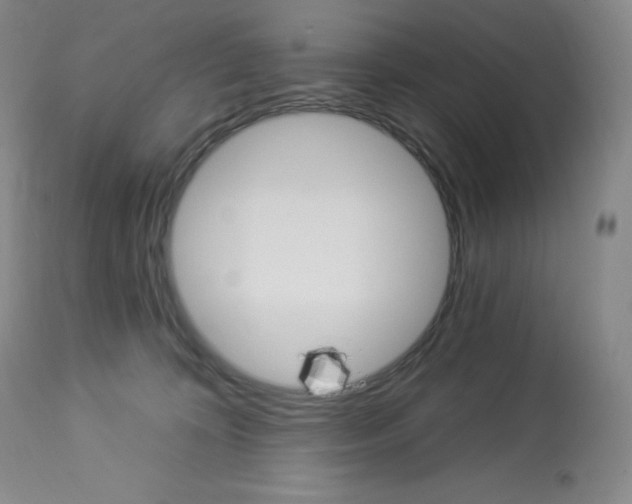 X0000112840324200909111428