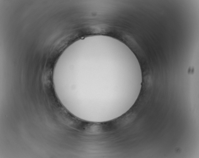 X0000112840325200909111428