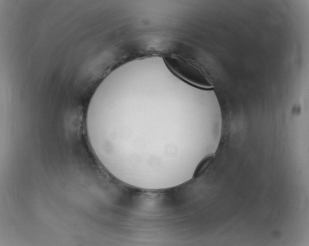 X0000112840328200909111428