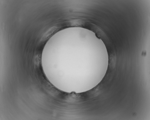 X0000112840329200909111428