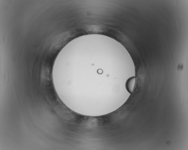 X0000112840330200909111428