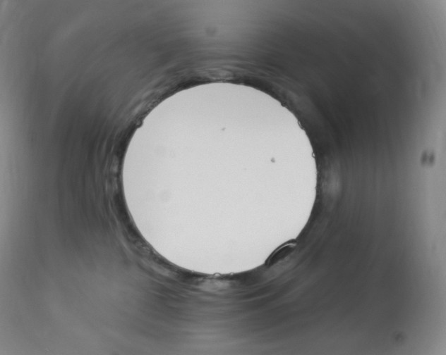 X0000112840332200909111428