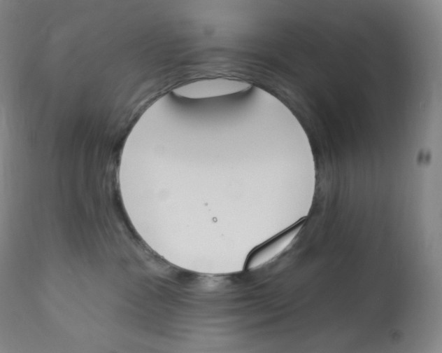 X0000112840333200909111428