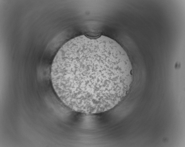 X0000112840336200909111428