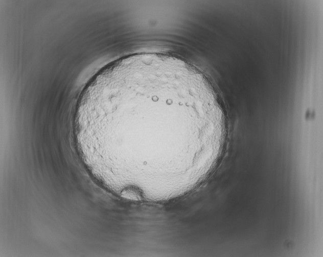 X0000112840337200909111427