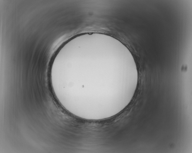 X0000112840340200909111427