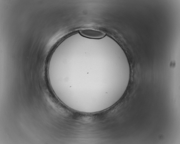 X0000112840344200909111427