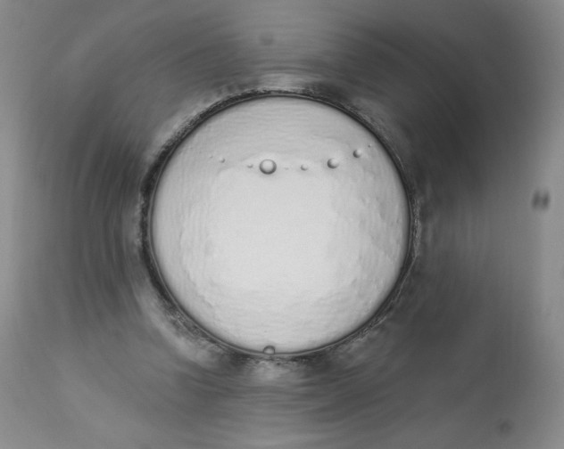 X0000112840346200909111427