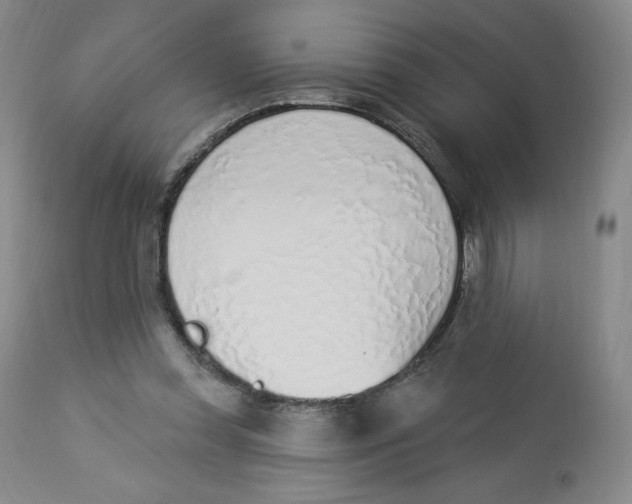 X0000112840349200909111427