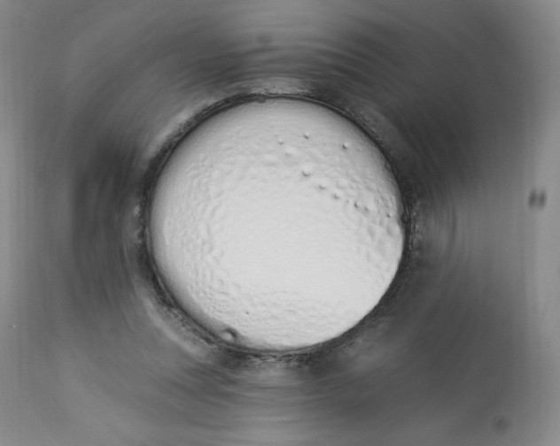 X0000112840351200909111427