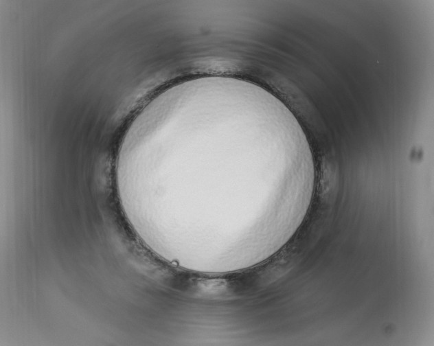 X0000112840355200909111427